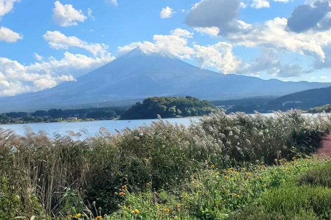 mount-fuji-hakone-private-guided-tour