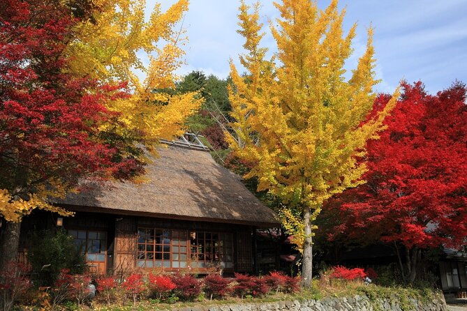 mount-fuji-hokane-lakes-with-english-speaking-guide