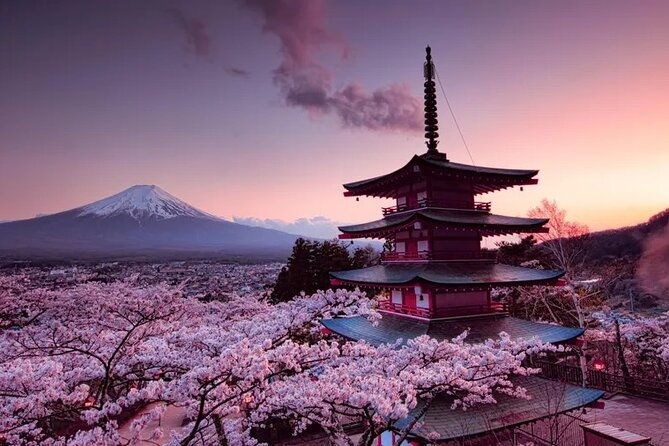 mount-fujifuji-san-private-day-trip-with-english-speaking-guide