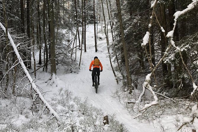 mountain-biking-small-group-in-stockholm-forests-for-beginners