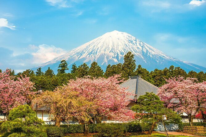 mt-fuji-5th-station-arakurayama-sengen-park-oshino-hakkai-tour