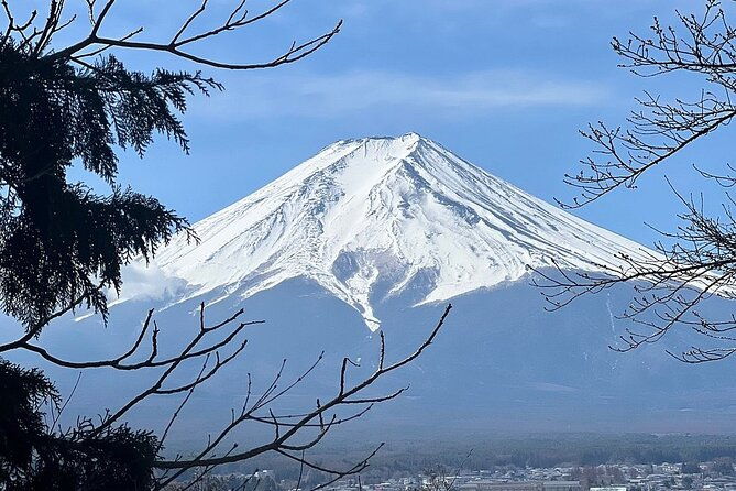 mt-fuji-and-cherry-blossom-day-trip-with-english-speaking-driver