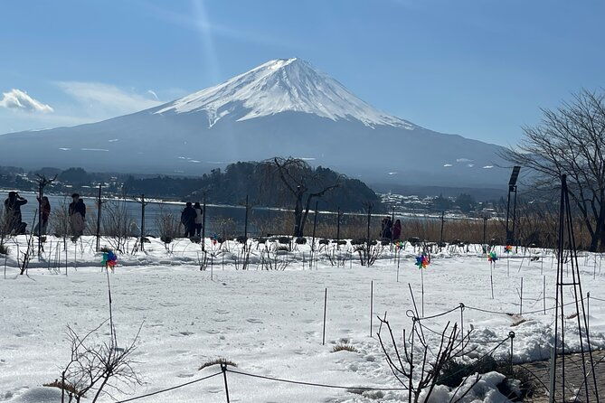 mt-fuji-and-lake-kawaguchi-day-trip-with-english-speaking-driver