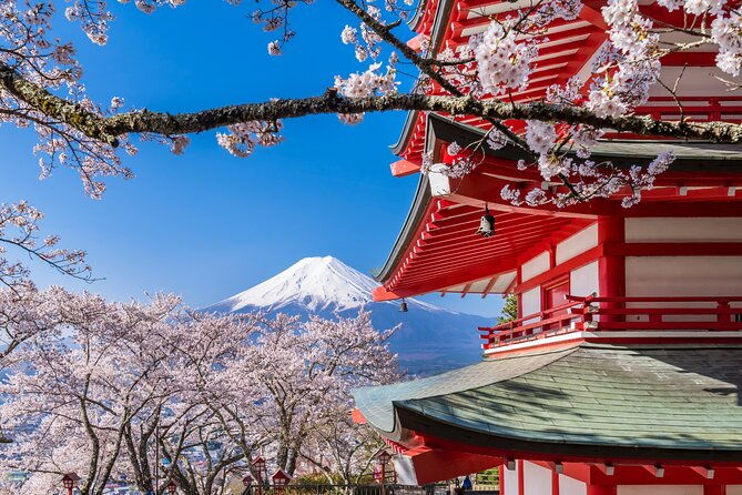 mt-fuji-area-tour-tokyo-dep-english-speaking-driver-no-guide