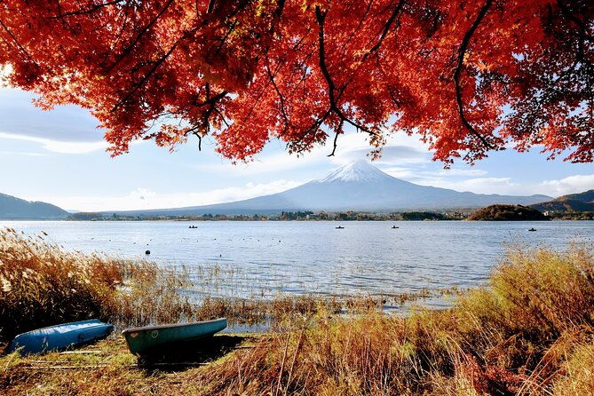 mt-fuji-day-trip-from-tokyo-by-car-with-photographer-guide