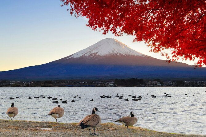 mt-fuji-exclusive-tour-with-private-car-english-speaking-guide