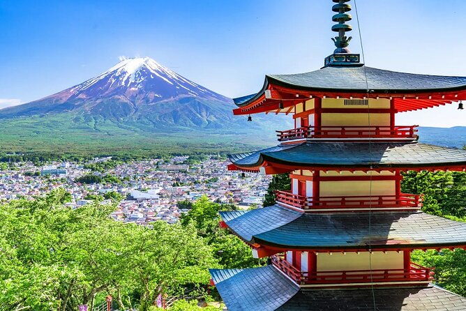 mt-fuji-exploration-tour-with-free-japanese-kusa-mochi-from-tokyo