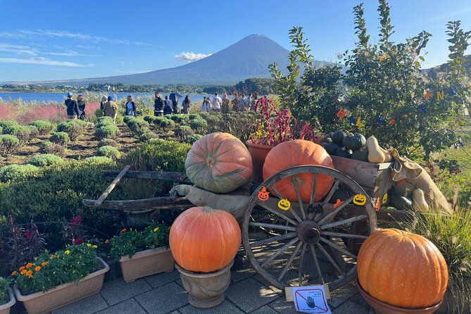 mt-fuji-hakone-cherry-blossom-private-one-day-tour