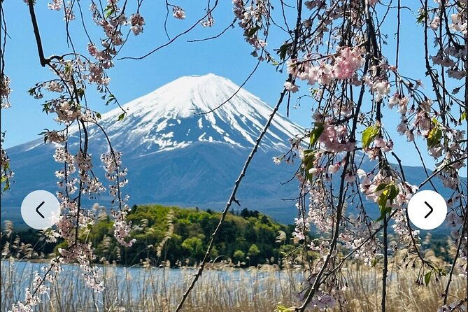 mt-fuji-hakone-full-day-private-tour-with-english-driver-guide