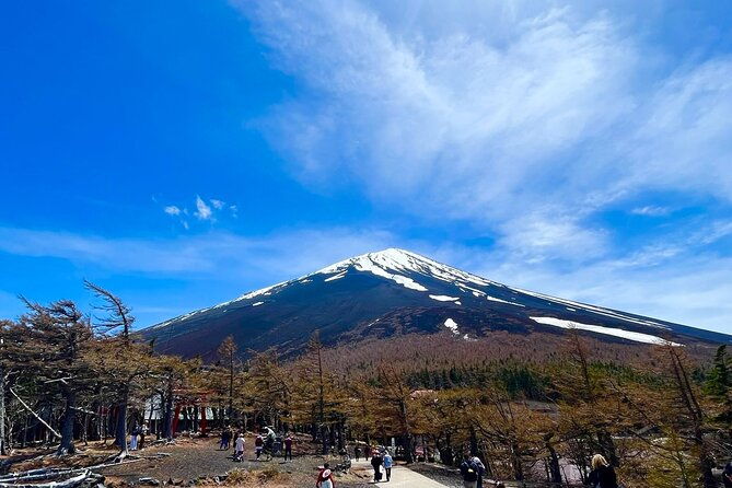 mt-fuji-hakone-tour-tokyo-hotel-pick-up-by-grayline
