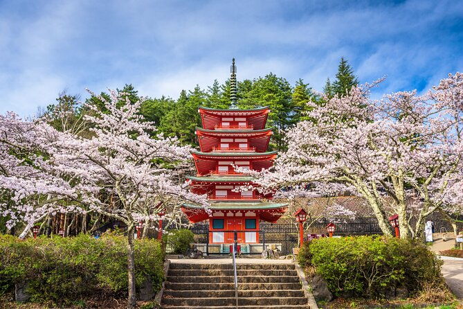mt-fuji-highlight-photo-spots-one-day-tour-from-tokyo