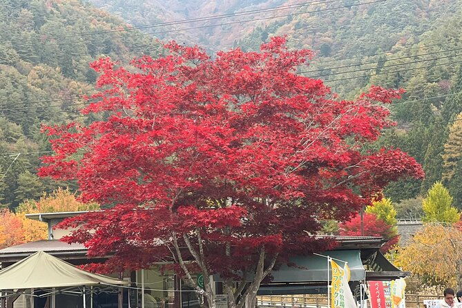 mt-fuji-lake-kawaguchiko-private-tour-with-pick-up