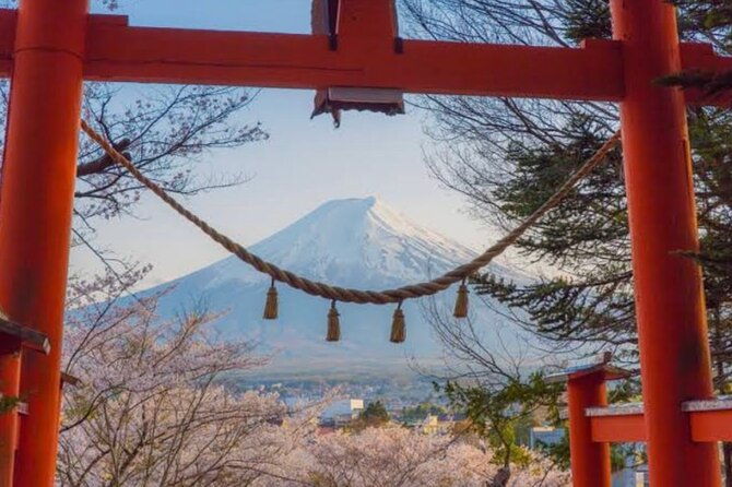 mt-fuji-private-tour-with-english-speaking-driver-3