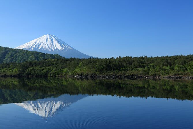 mt-fuji-tour-with-private-english-speaking-driver-from-tokyo