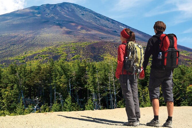 mt-fuji-trekking-1-day-tour-up-to-the-summit
