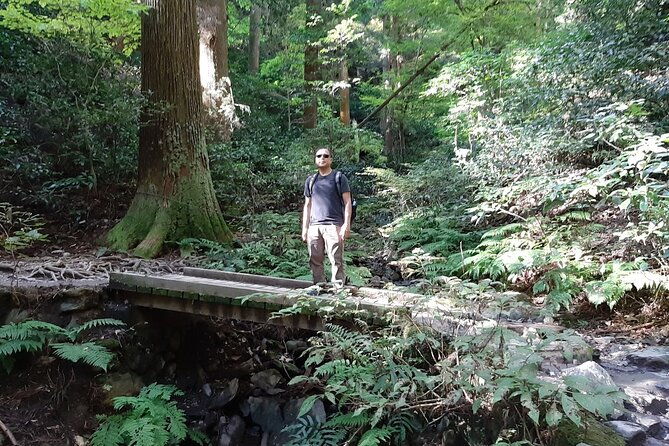 mt-takao-with-hot-spring-private-tour