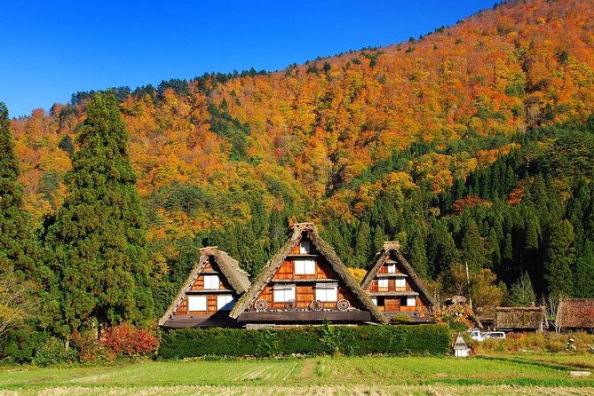 nagoya-to-hida-takayama-shirakawa-go-gassho-village-day-tour