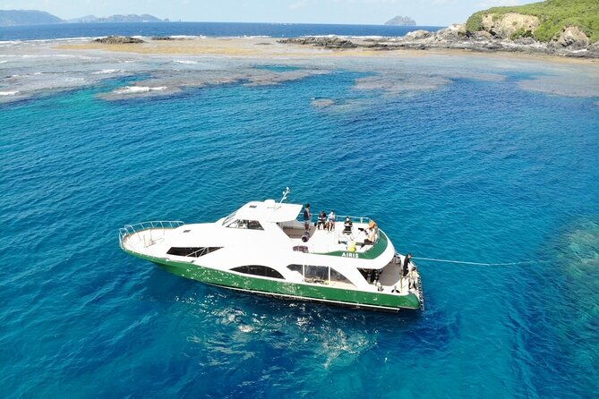 naha-kerama-islands-snorkeling-tour-limited-time-whale-watching