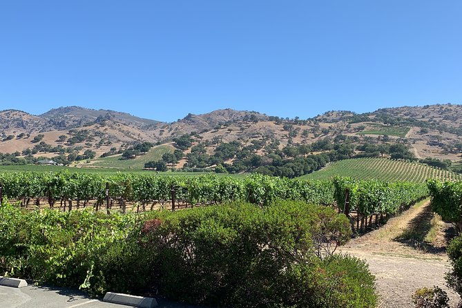 napa-sonoma-wine-tour-6-8hr-private-fully-customized-xl-suv