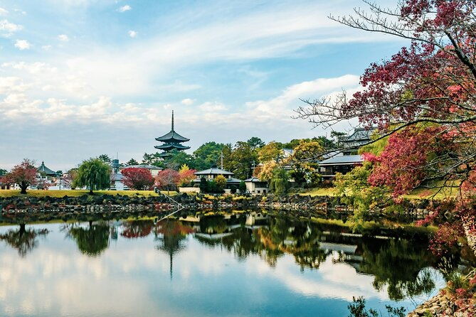 nara-culinary-tour-with-a-chef
