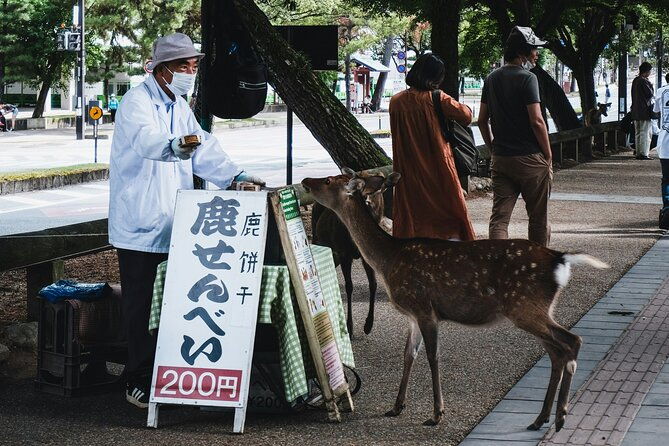 nara-heritage-walkabout-from-nara-park-to-todaji-temple