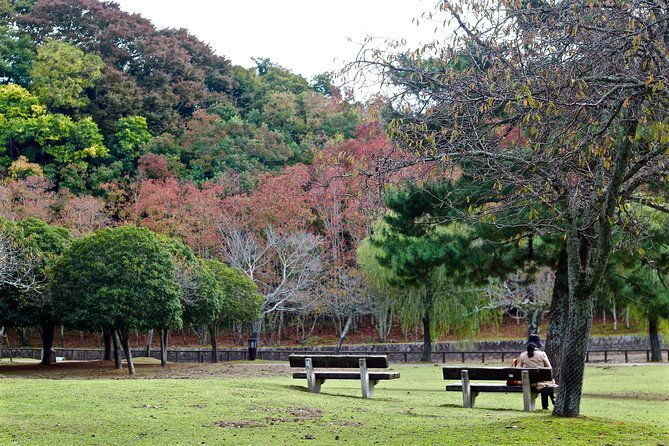 nara-private-customizable-half-day-tour
