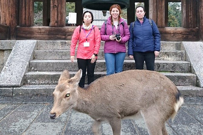 nara-todaiji-lazy-bird-walking-tour