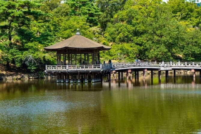 nara-world-heritage-private-tour