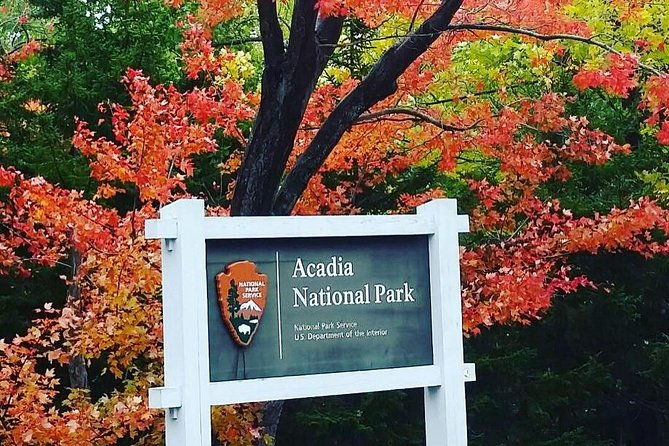 narrated-bus-tour-of-bar-harbor-and-acadia-national-park