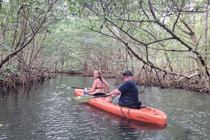 nature-island-exploration-on-sup-kayak
