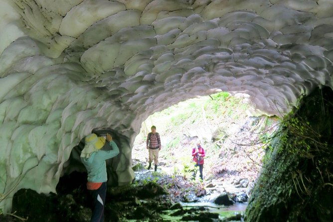 nature-tour-around-waterfalls-that-exudes-from-the-beech-forest-nishiwaga-town-iwate-prefecture
