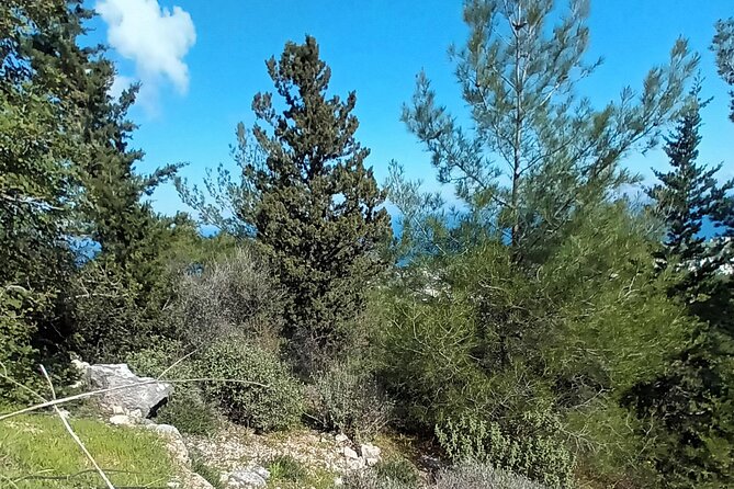 nature-walking-tour-in-the-mediterranean-cyprus-6days
