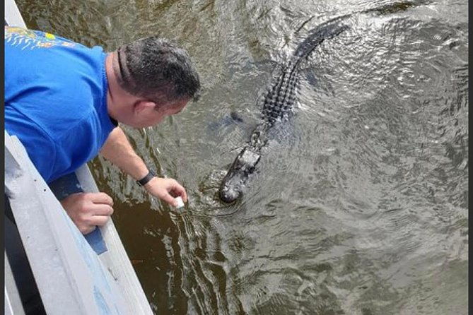 new-orleans-swamp-tour-boat-adventure