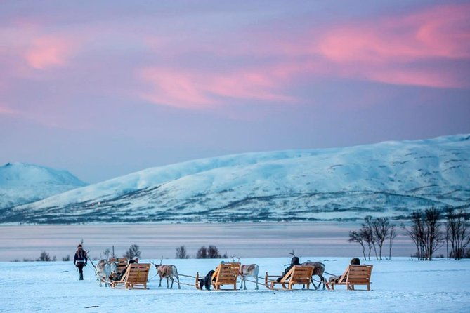 night-reindeer-sledding-with-camp-dinner-and-chance-of-northern-lights
