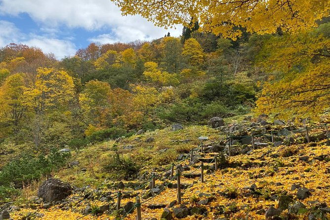 niigata-private-customizable-full-day-tour