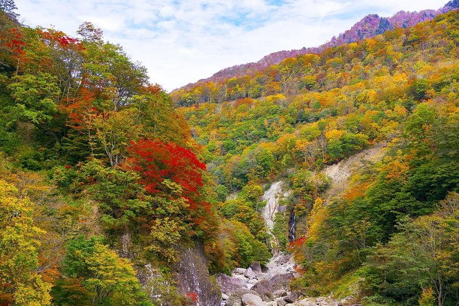 niigata-private-customizable-half-day-tour