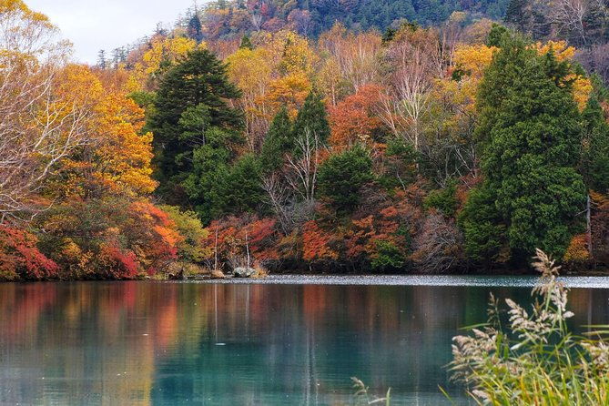 nikko-private-customizable-half-day-tour