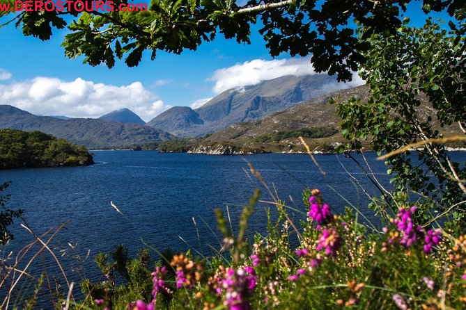 no-1-ring-of-kerry-tour-inc-killarney-lakes-national-park