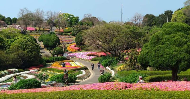nokonoshima-island-park-garden-tour-wagyu-bbq-lunch