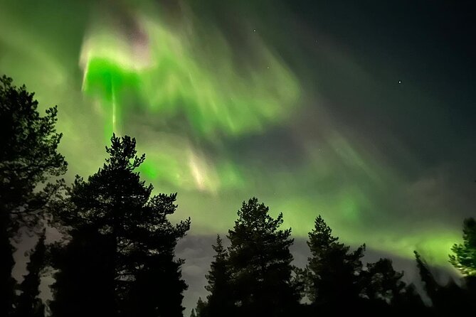 northern-light-hunt-with-minibus-to-abisko-730-pm