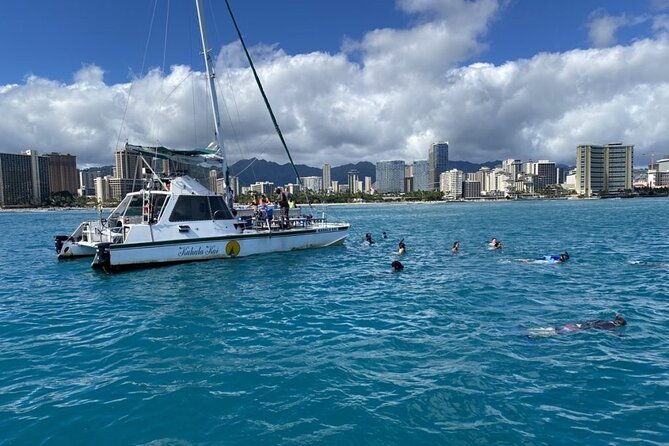 oahu-catamaran-snorkel-see-turtles-guaranteed