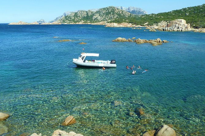 observation-of-dolphins-and-snorkeling-in-a-rubber-boat-in-olbia