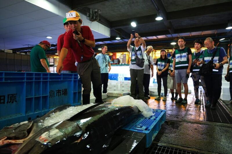 odawara-odawara-fish-market-experience