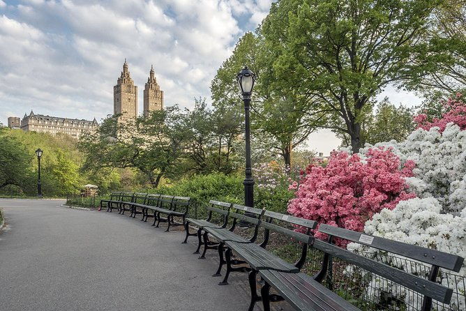 official-nyc-horse-carriage-rides-in-central-park-since-1979