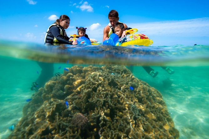 ok-from-2-years-old-sea-picnic-snorkel