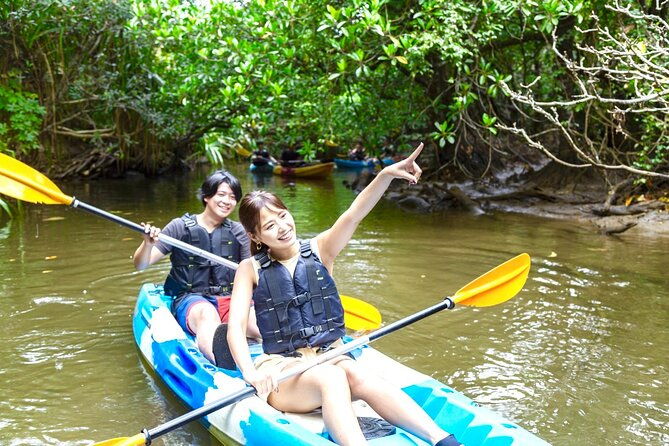okinawa-iriomote-mangrove-sup-or-canoe-tour-and-splash-canyoning