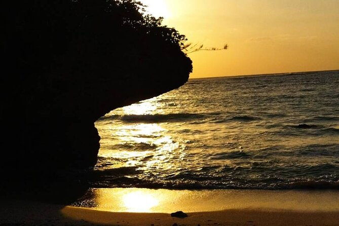 okinawa-sightseeing-bus-tour