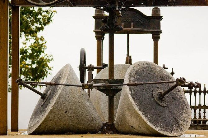 olive-oil-farm-tour-with-tasting-from-seville