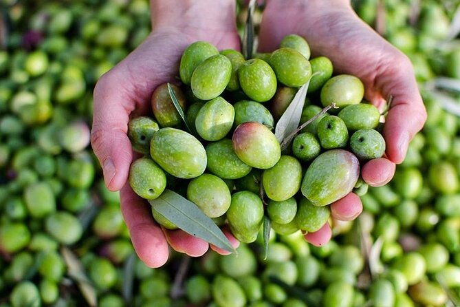 olive-oil-tasting-breakfast-tour-in-cordoba