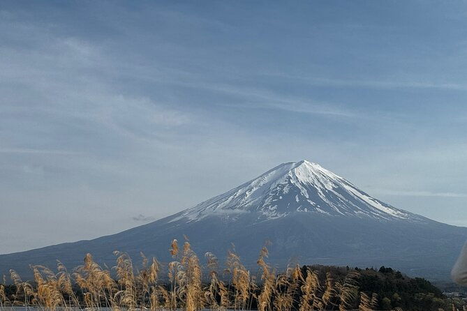 one-day-mountain-fuji-hakone-tour-with-english-hindi-bilingual